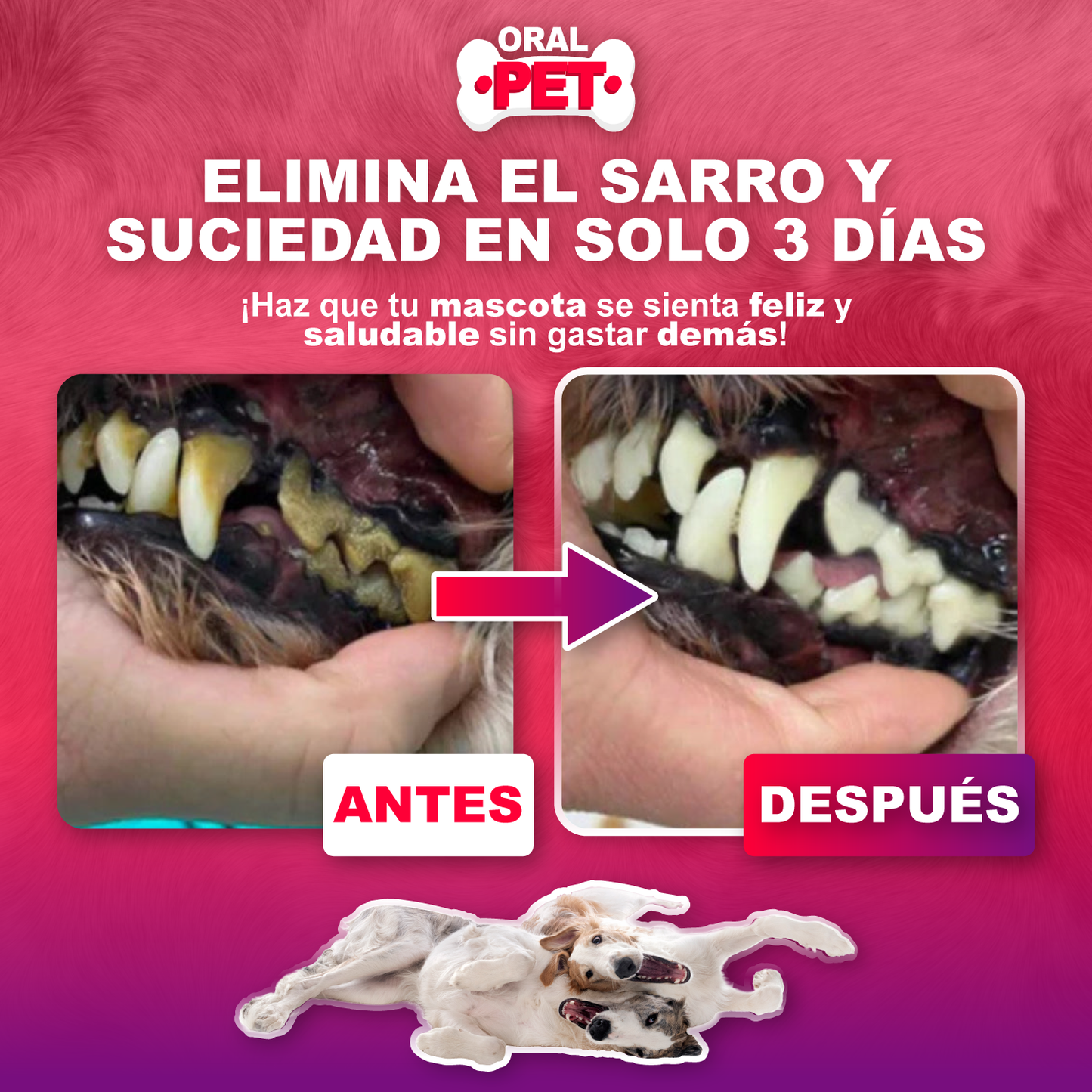 FoliPet Spray Bucal Limpiador Mascotas