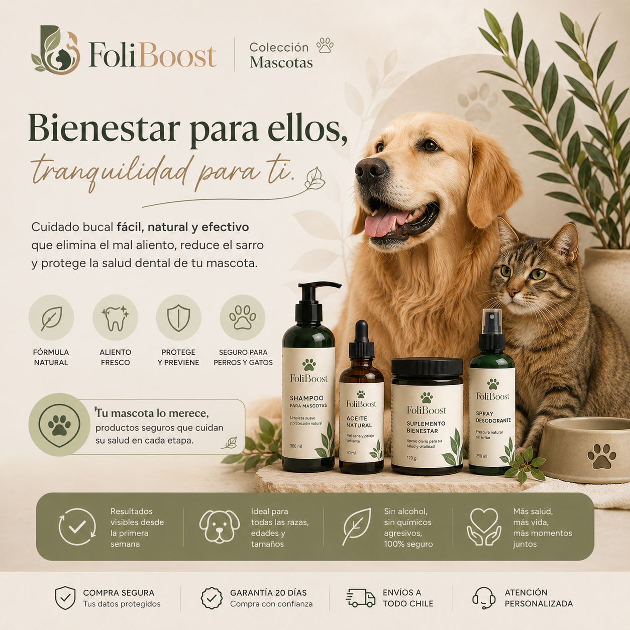 Mascotas